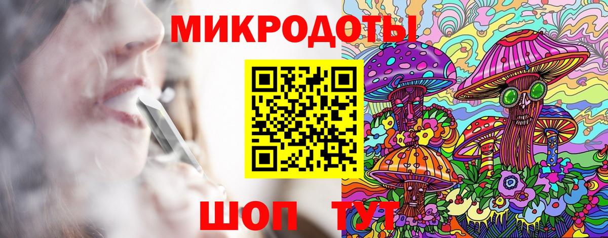Галлюциногенные грибы Psilocybine cubensis Саяногорск