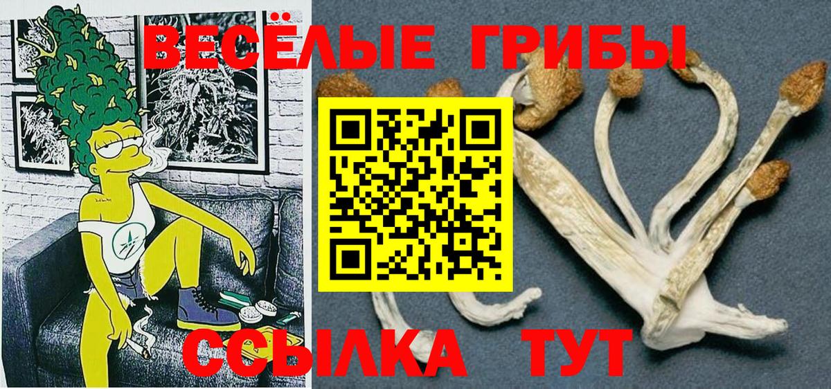 Саяногорск  Псилоцибиновые грибы мухоморы  Галлюциногенные грибы мухоморы  Вход с VPN 